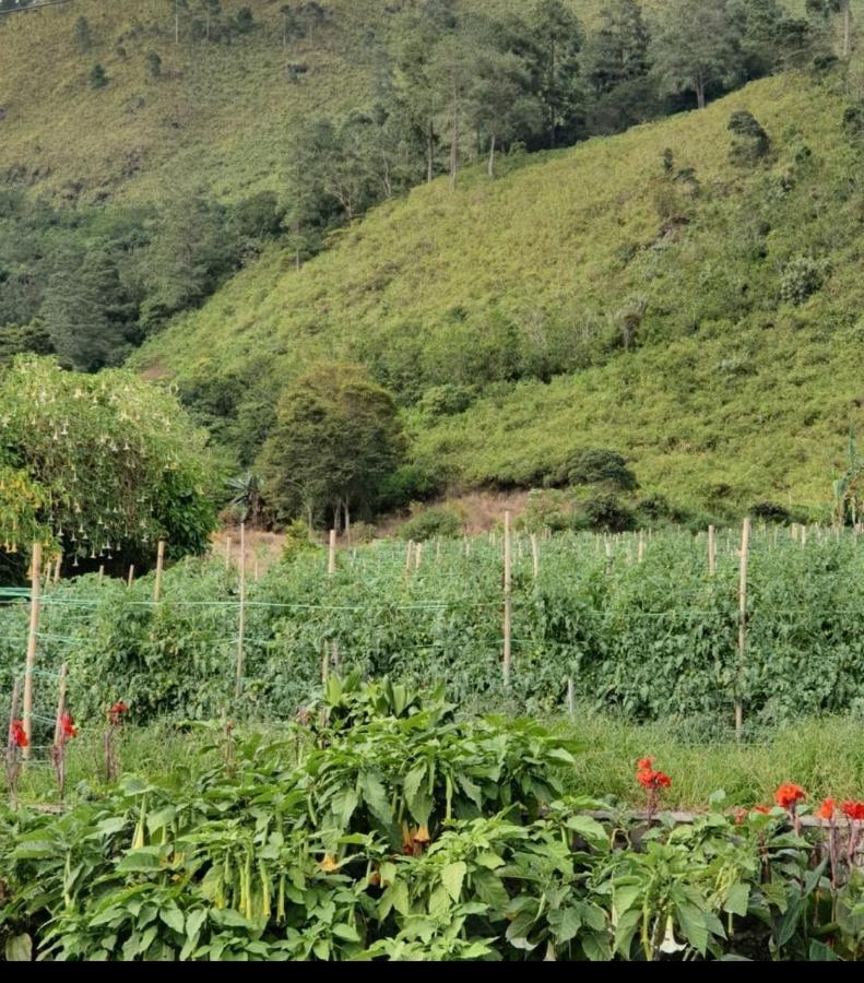 Villa Gunung Mas Berastagi Luaran gambar